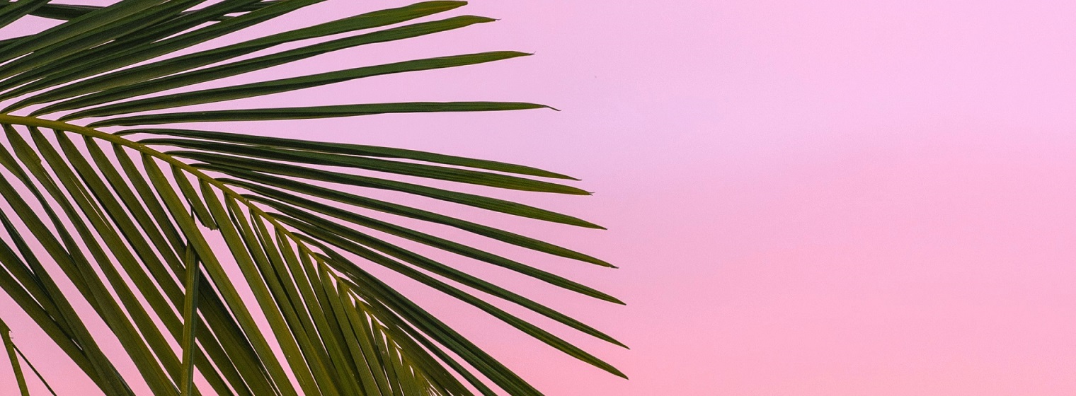 Image d'illustration