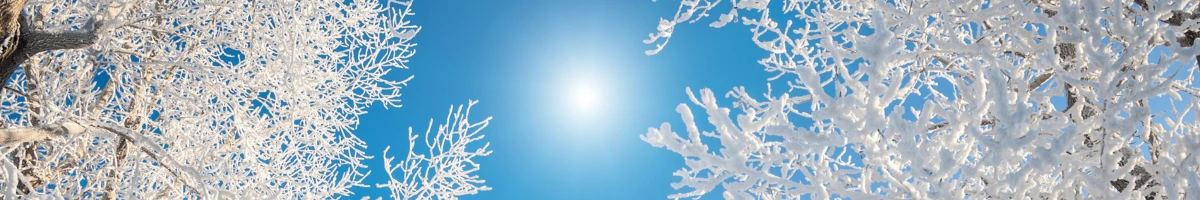 Image d'illustration