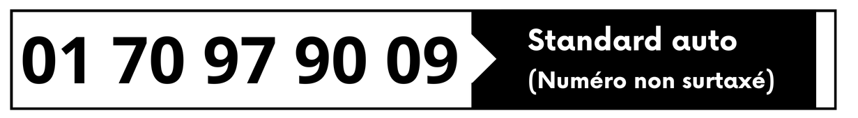 Numéro standard
